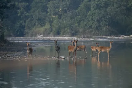 Wonders of Nepal